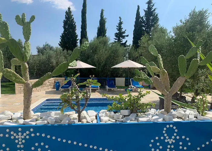 Villa Des Oliviers Hammamet