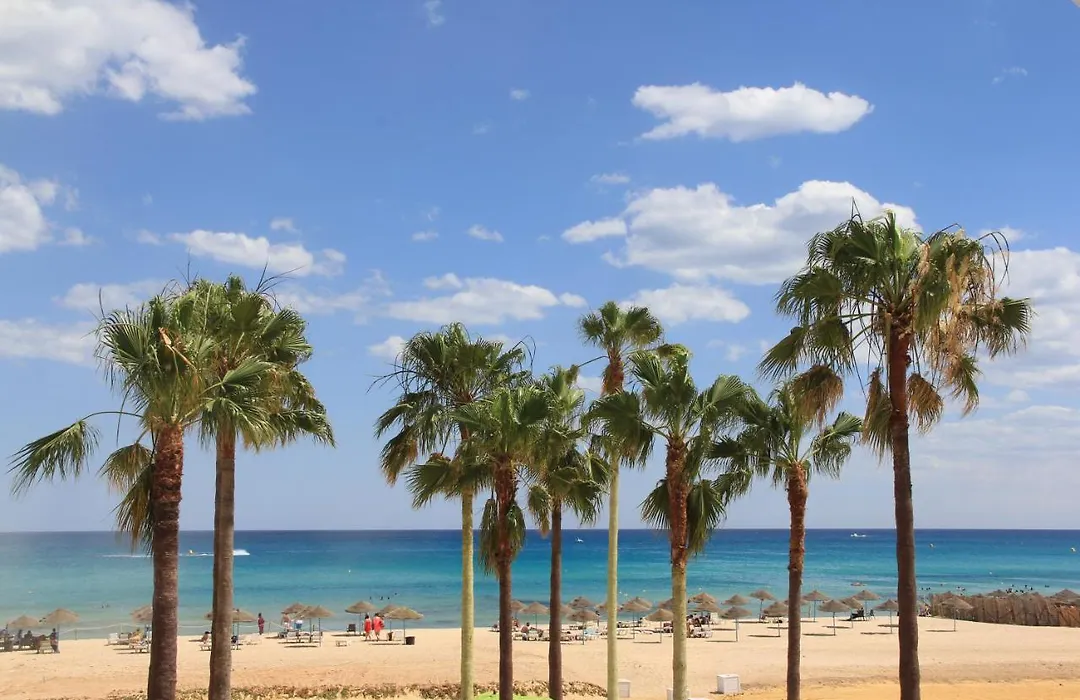 La Playa Hotel Club (Adults Only)-1