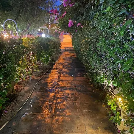Bungalow El Houda-2