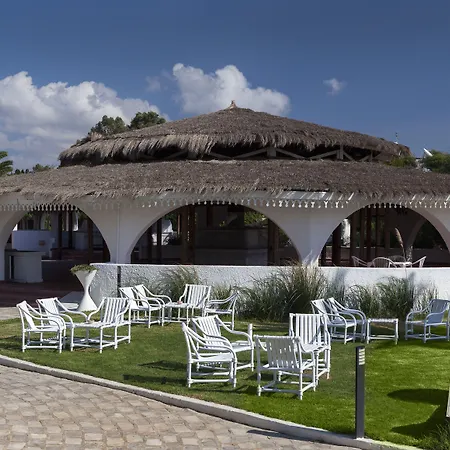 Sentido Phenicia-2