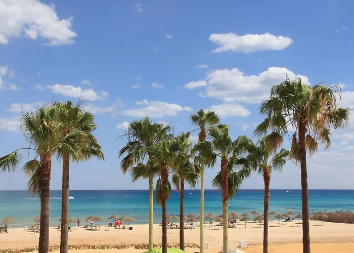 La Playa Hotel Club (Adults Only) الحمامات, تونس